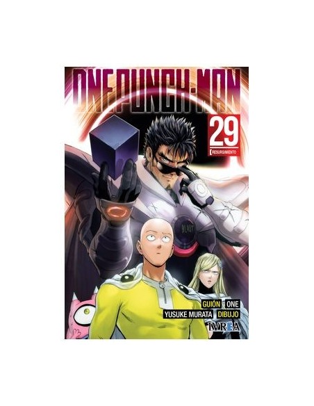 One Punch-Man 29