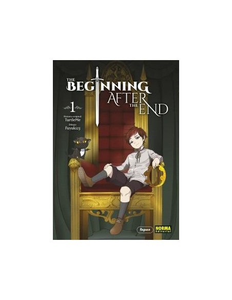 The beginning after the end 01