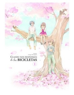 Cuando nos despedimos de las bicicletas 01