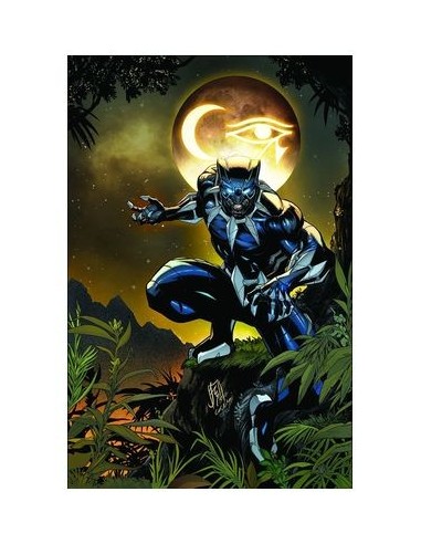 Ultimate Black Panther 01