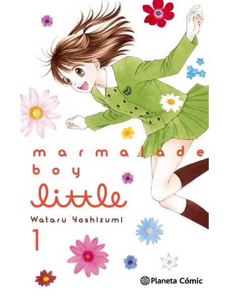 Marmalade Boy Little 01