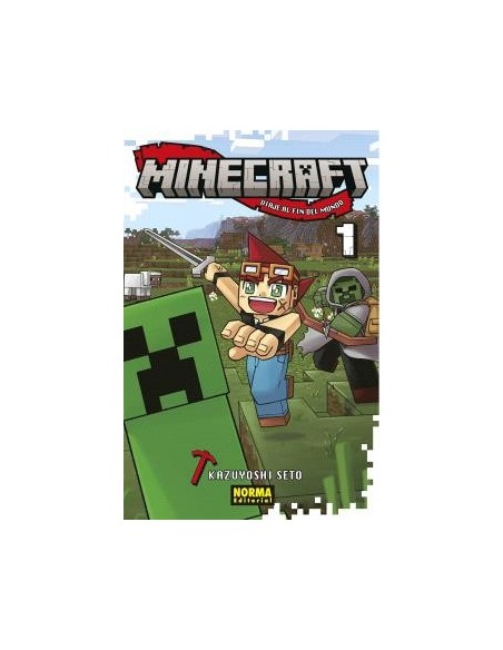 Minecraft 01