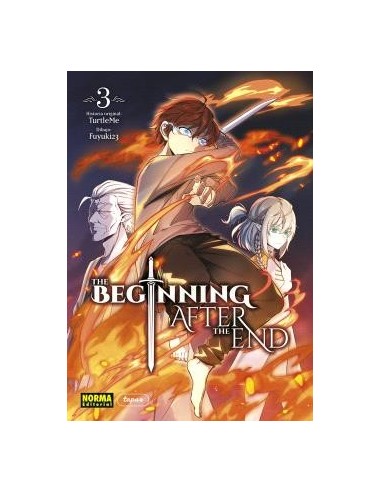 The beginning after the end 03