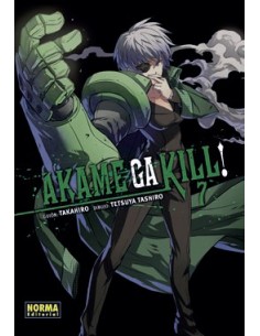Akame Ga Kill 07