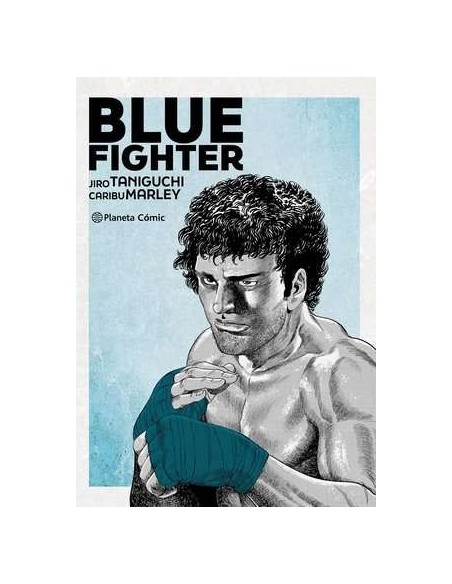 Blue Fighter (Taniguchi)
