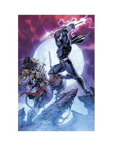 Predator Vs. Pantera Negra