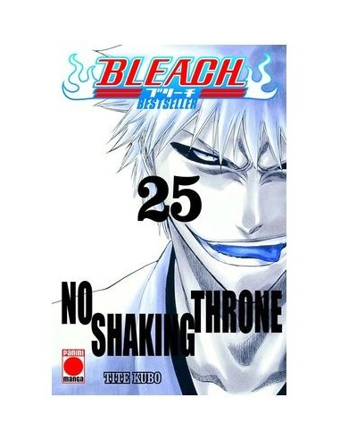 Bleach: Bestseller 25