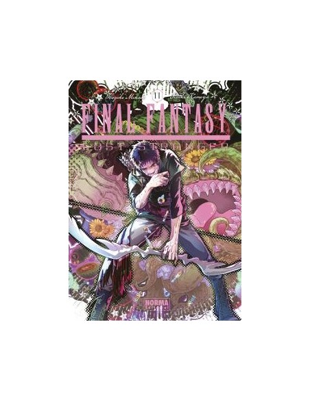 Final Fantasy Lost Stranger 11