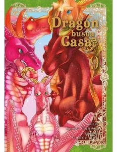 Dragón busca casa 09