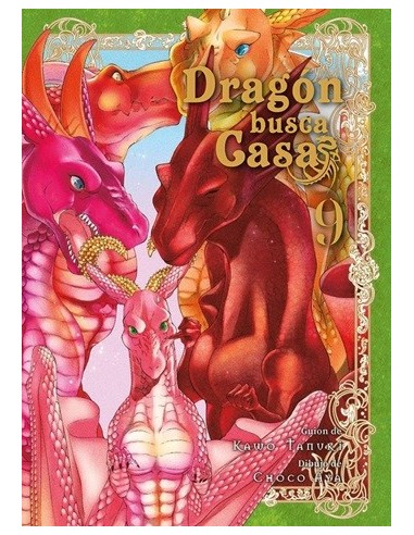 Dragón busca casa 09