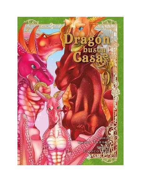 Dragón busca casa 09