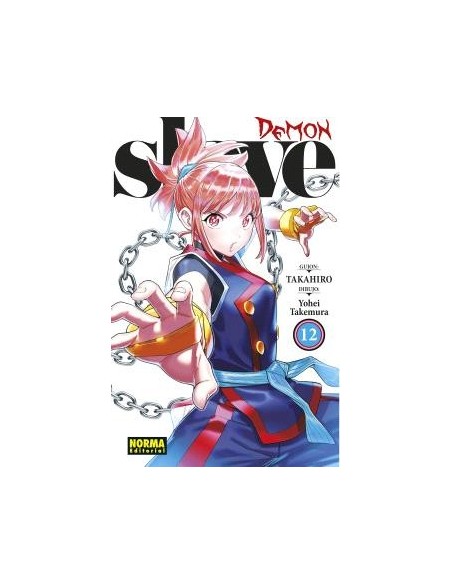 Demon Slave 12