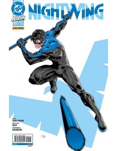 All In Nightwing 01