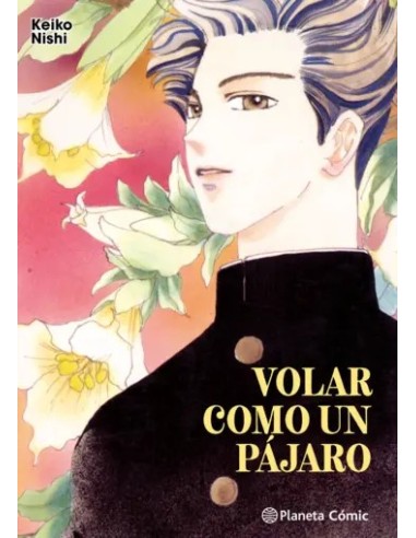 Volar como un pájaro