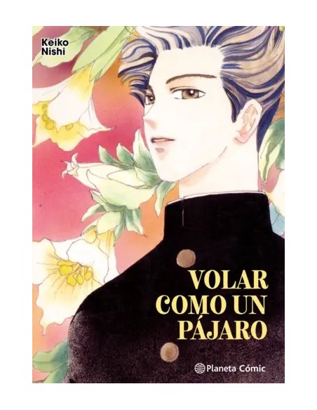 Volar como un pájaro