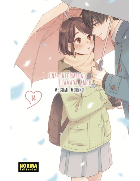 Una enfermedad llamada amor 14