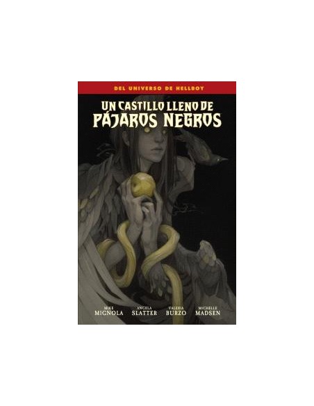 Un Castillo lleno de Pájaros Negros