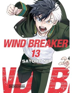 Wind Breaker 13