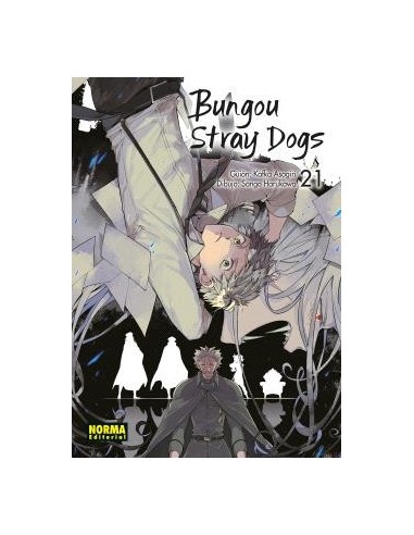 Bungou Stray Dogs 21