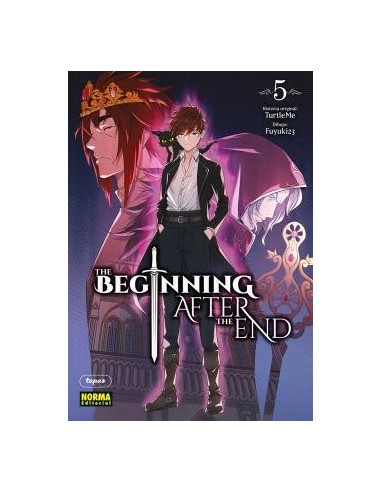 The beginning after the end 05