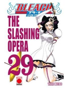 Bleach: Bestseller 29