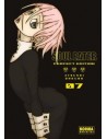 Soul Eater Perfect Edition 07