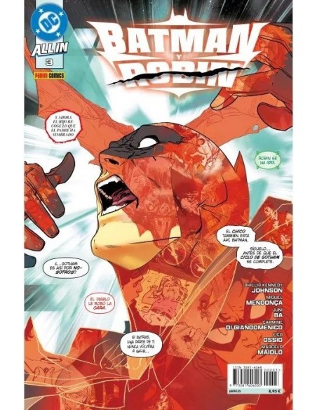 All In Batman y Robin 03