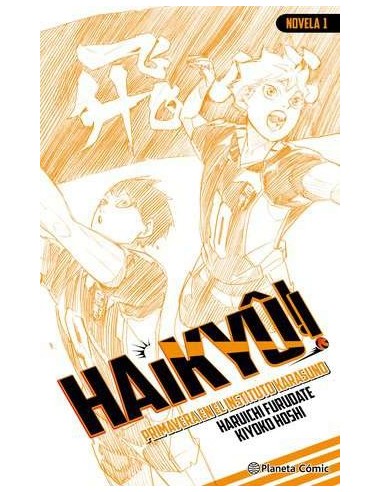Haikyû!! (Novela) 01