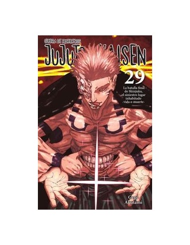 Jujutsu Kaisen 29