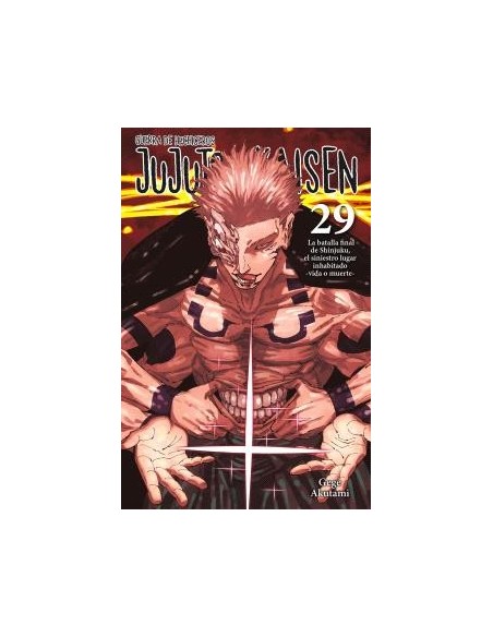 Jujutsu Kaisen 29