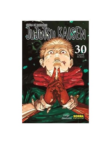 Jujutsu Kaisen 30
