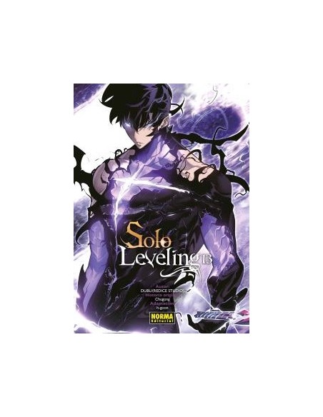 Solo Leveling 13 + tarjetas de personaje