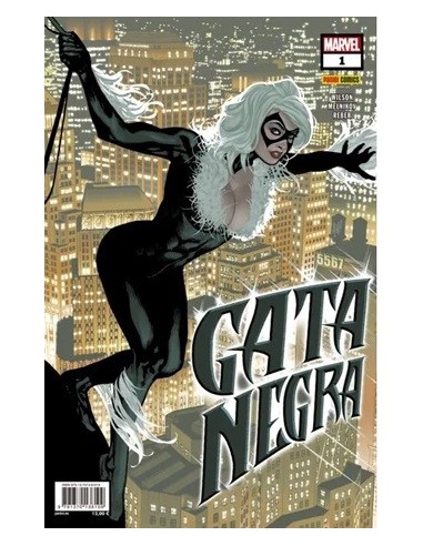 Gata Negra 01