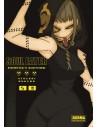 Soul Eater Perfect Edition 08