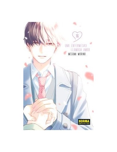 Una enfermedad llamada amor 16