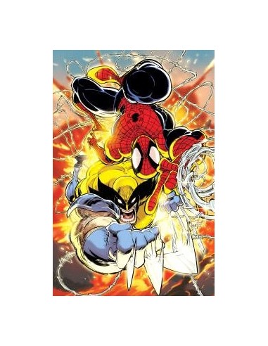 Spiderman y Lobezno 02
