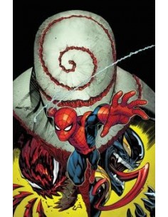 El Asombroso Spiderman 08