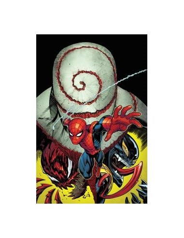 El Asombroso Spiderman 08