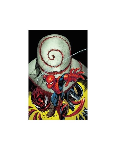 El Asombroso Spiderman 08