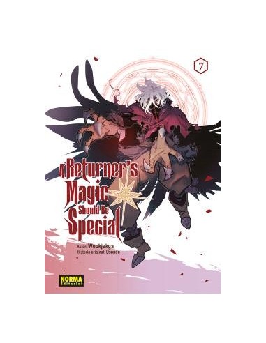A Returner's Magic Should Be Special 07