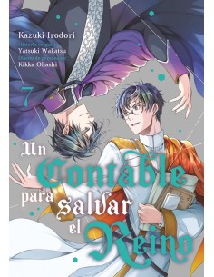 Un contable para salvar el reino 07