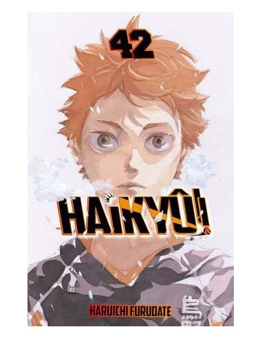 Haikyû!! 42