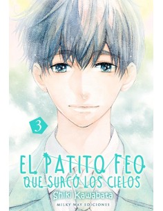 El patito feo que surcó los cielos 03