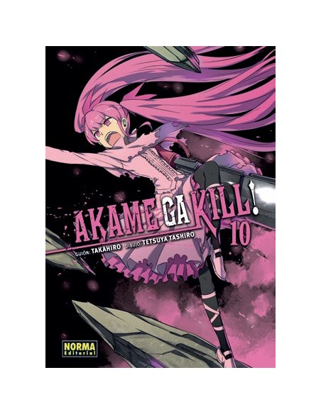 Akame Ga Kill! 10