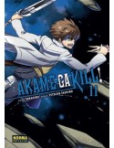 Akame Ga Kill! 11