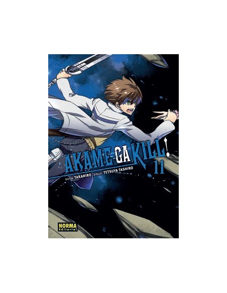 Akame Ga Kill! 11