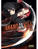 Akame Ga Kill! 13