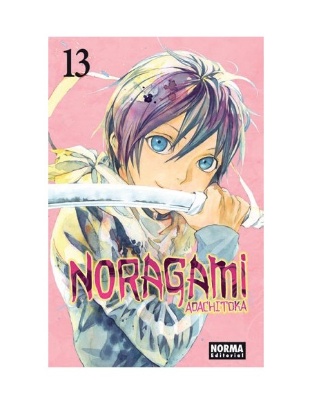 Noragami 13
