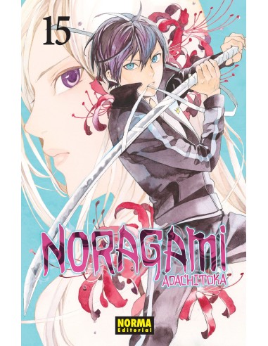 Noragami 15