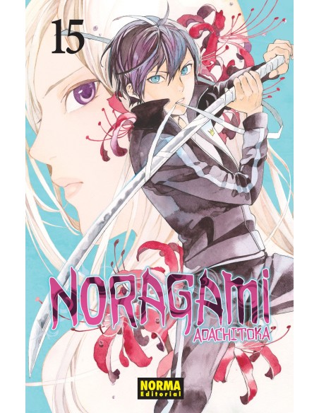 Noragami 15
